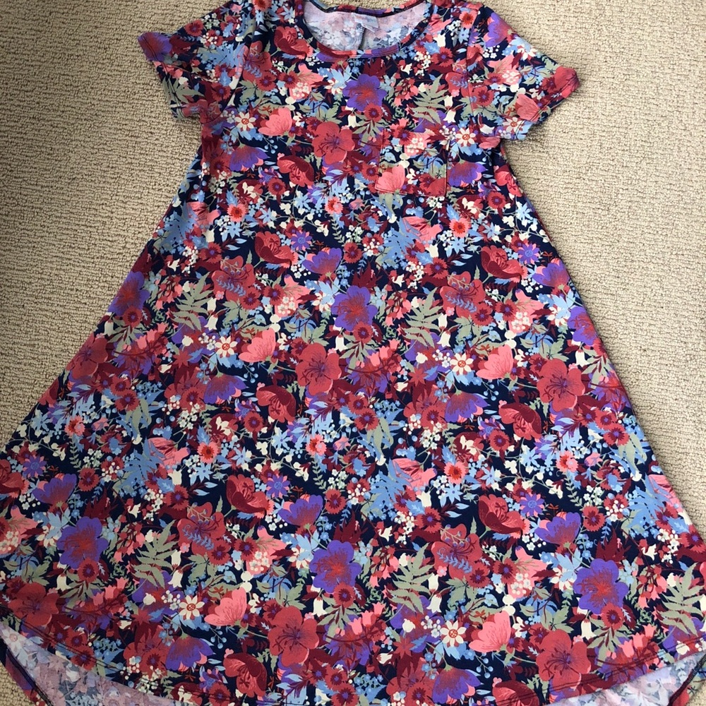 XS floral Lularoe Carly dress